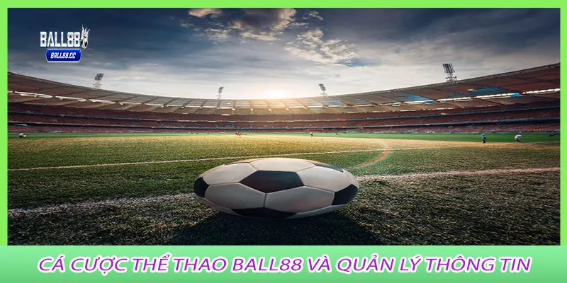 Cá Cược Thể Thao ball88 và quản lý thông tin