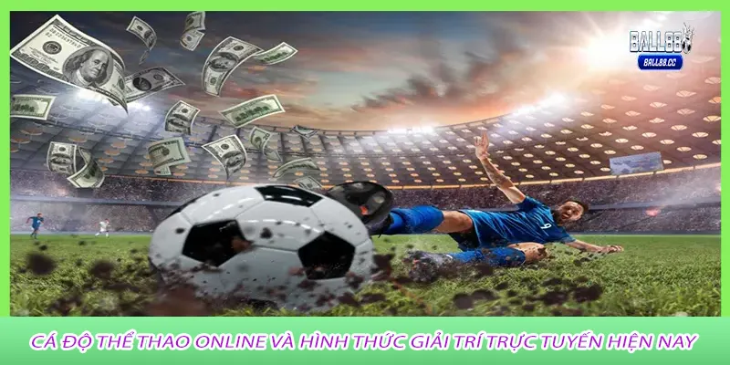 Cá Độ Thể Thao Online và hình thức giải trí trực tuyến hiện nay