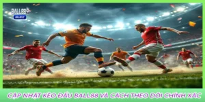 Cập nhật kèo đấu ball88 và cách theo dõi chính xác