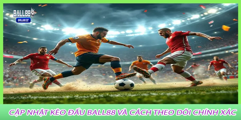 Cập nhật kèo đấu ball88 và cách theo dõi chính xác