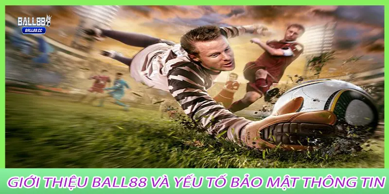 Giới thiệu Ball88 và yếu tố bảo mật thông tin