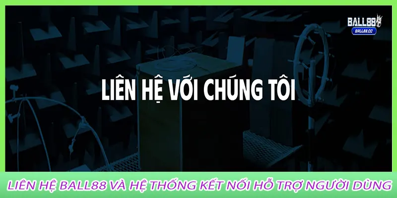 Liên hệ Ball88 Và Hệ Thống Kết Nối Hỗ Trợ Người Dùng