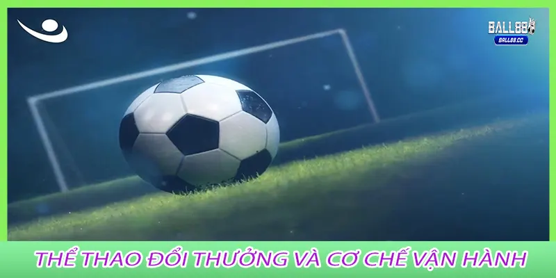 Thể Thao Đổi Thưởng và cơ chế vận hành
